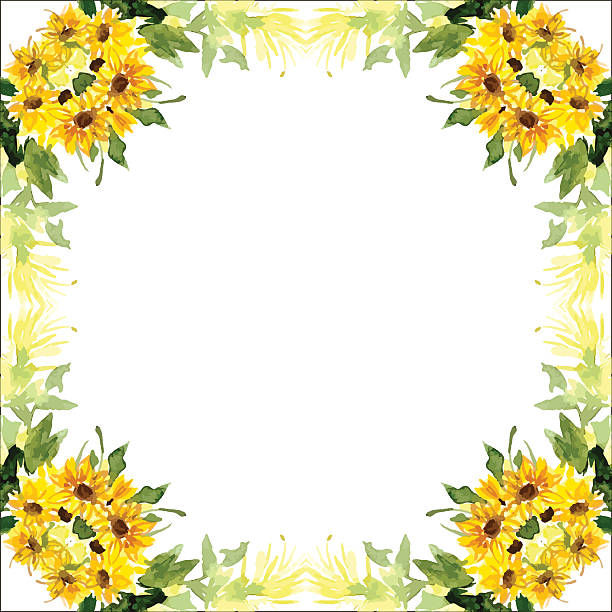 Best Sunflower Bouquet Illustrations, Royalty-Free Vector ...