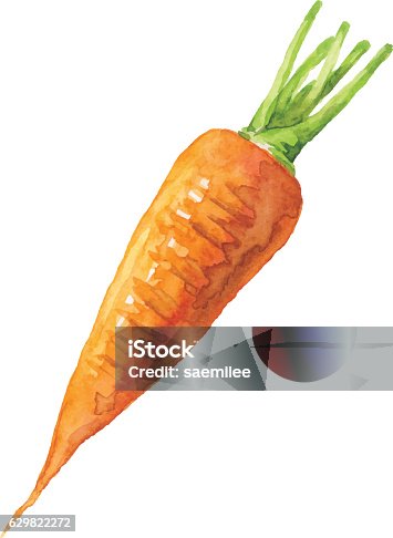 istock Watercolor Carrot 629822272