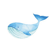 istock Watercolor Cute Blue Whale 1284673606