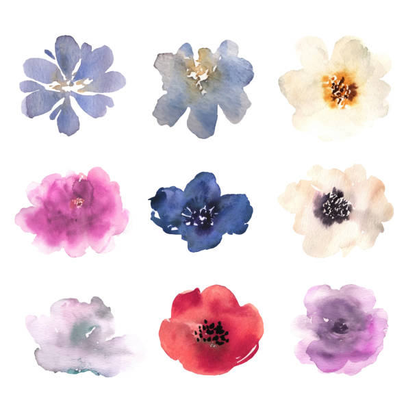 수채화 꽃 손으로 그린 화려한 아름 다운 꽃 핑크 레드 블루 꽃 식물 세트. 벡터 - 꽃 꽃의 구조 stock illustrations