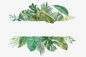 Watercolor frame with beautiful tropical exotic leaves