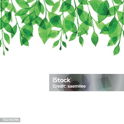 istock Watercolor Green Branch Bacgkround 1132702194