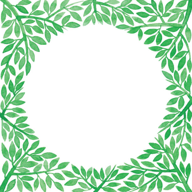 Watercolor Green Branch Frame Vector illustration of Seamless Pattern. gardening borders stock illustrations