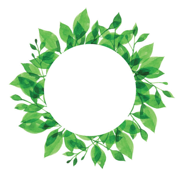 Watercolor Green Branch Frame With White Circle Vector illustration of Green Plants. nature borders stock illustrations