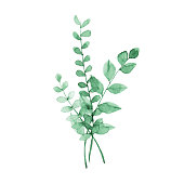 Vector illustration of green plants.