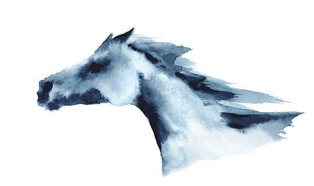 bildbanksillustrationer, clip art samt tecknat material och ikoner med watercolor head of galloping horse - foal isolated