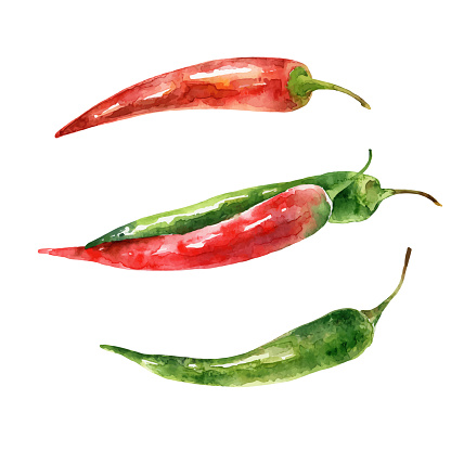Watercolor hot green and red pepper