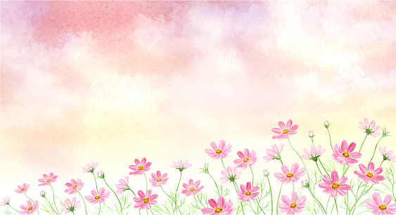 Watercolor illustration of autumn sky and cosmos fields.