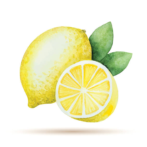 印刷可能 水彩 おしゃれ レモン イラスト 最高の壁紙のアイデアcahd
