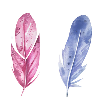 Watercolor multicoloured bird feather hand drawn set for Easter.