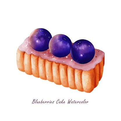 Watercolor of blueberries cake vector design