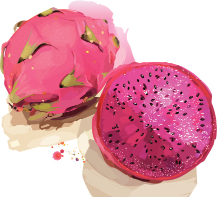 Watercolor painting of dragon fruit