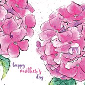 A textured, loose, vibrant watercolor painting of spring hydrangea flowers with a hand-drawn ink outline. Hand painted, isolated on white. Bright pink. Good for Mother's Day compositions, or replace with your own text.