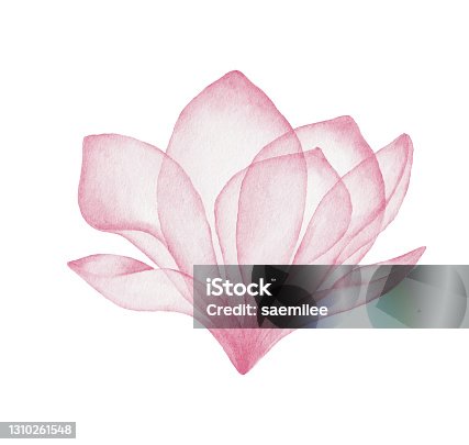istock Watercolor Pink Flower 1310261548