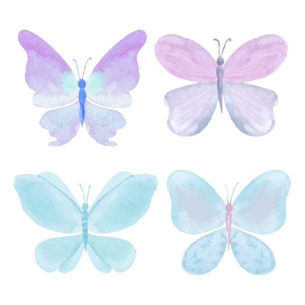 Watercolor purple and blue butterfly set Watercolor purple and blue butterfly set. Vector illustration pink monarch butterfly stock illustrations