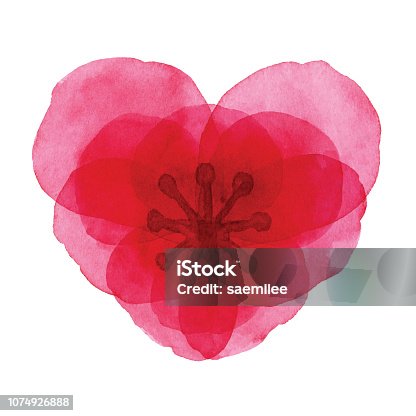 istock Watercolor Red Heart Shaped Flower 1074926888