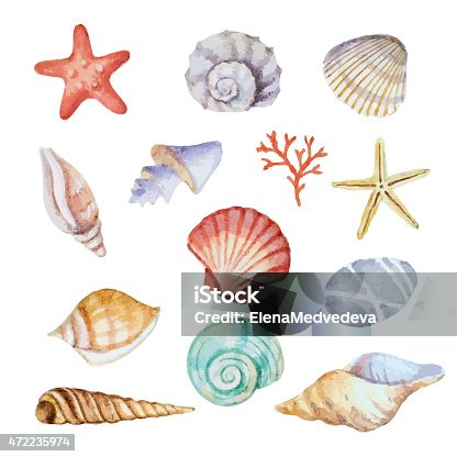 istock Watercolor set of seashells 472235974