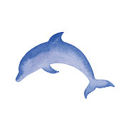 istock Watercolor Simple Dolphin Illustration 1344063948