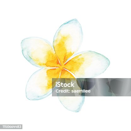 istock Watercolor Tropical Flower 1150664483