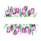 istock Watercolor tulips 1370960074