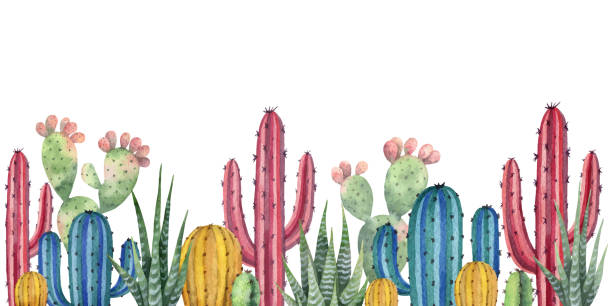 Watercolor vector background with desert and cacti. Watercolor vector horizontal background of landscape with desert and cacti. High quality illustration for travel and tourism. desert area clipart stock illustrations