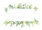 istock Watercolor vector banner of with  flowers and eucalyptus leaves isolated on a white background. Hand painted illustration for posters, wall art decor, greeting cards, wedding invitations and more. 1324002105