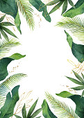 Watercolor vector banner tropical leaves isolated on white background. Illustration for design wedding invitations, greeting cards, postcards.