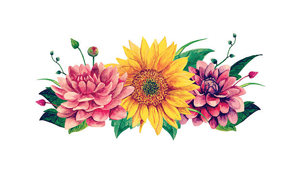 bildbanksillustrationer, clip art samt tecknat material och ikoner med watercolor vector bouquet clipart - dahlia
