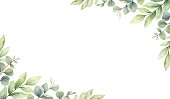istock Watercolor vector card of green branches and leaves isolated on a white background. Flower hand painted illustration for greeting cards, wedding invitations, banner with space for text and more. 1330668657