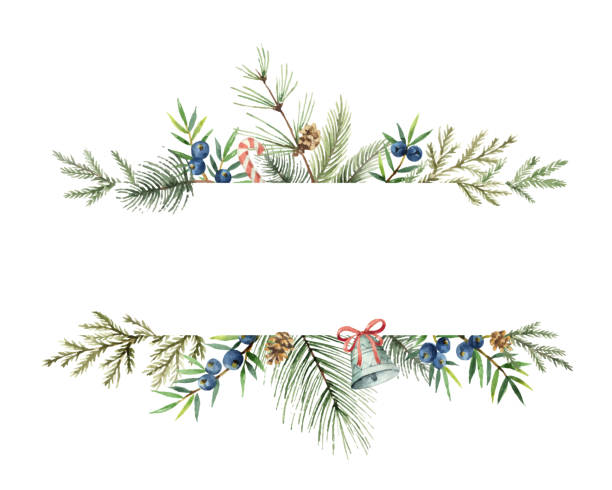 Watercolor vector Christmas banner with fir branches and place for text. Watercolor vector Christmas banner with fir branches and place for text. Illustration for greeting cards and invitations isolated on white background. winter borders stock illustrations