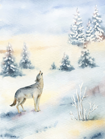 Watercolor vector Christmas card with  a wolf and a winter landscape. Hand painted illustration for greeting floral postcard and invitations isolated on white background.