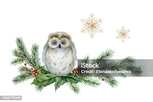 istock Watercolor vector Christmas card with an owl, fir branches and golden snowflakes. Illustration for postcards, invitations and greetings isolated on a white background. 1350779209