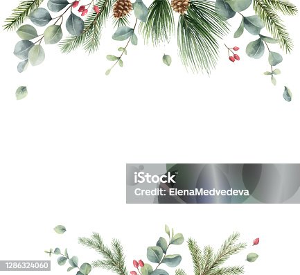 istock Watercolor vector Christmas card with fir branches and eucalyptus. Hand painted illustration for greeting floral postcard and invitations isolated on white background. 1286324060