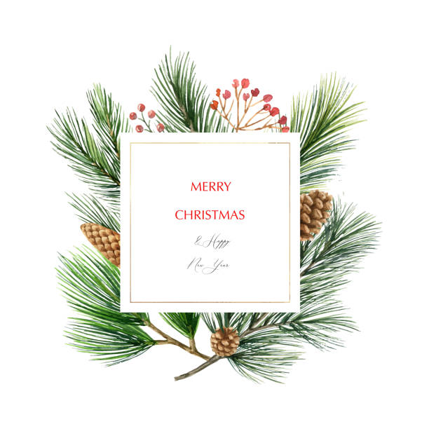 Watercolor vector Christmas frame with fir branches and place for text. Watercolor vector Christmas frame with fir branches and place for text. Illustration for greeting cards and invitations. Winter holiday background. evergreen plant stock illustrations