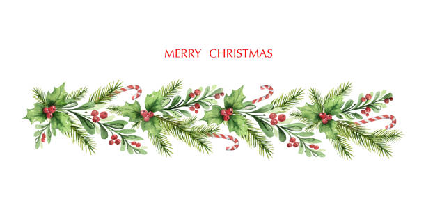 Watercolor vector Christmas garland with fir branches and red berries. Watercolor vector Christmas garland with fir branches and red berries. Illustration for greeting cards and invitations isolated on white background. pinaceae stock illustrations