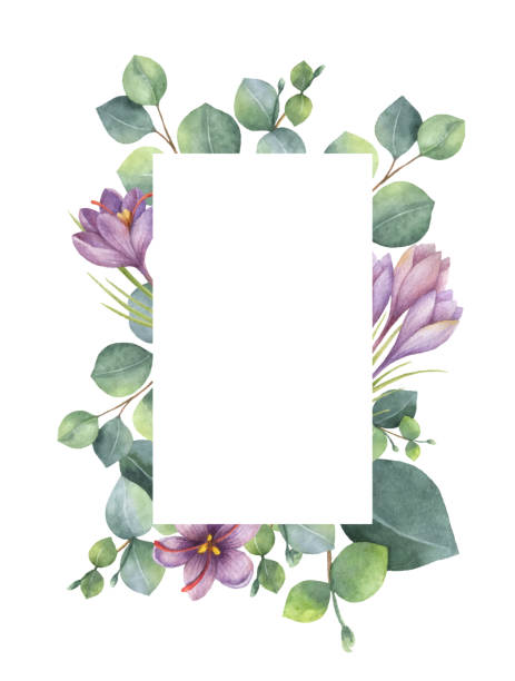 Watercolor vector green floral card with eucalyptus leaves, purple flowers and branches isolated on white background. Watercolor vector green floral card with eucalyptus leaves, purple flowers and branches isolated on white background. Illustration for cards, wedding invitation, save the date or greeting design. gardening borders stock illustrations