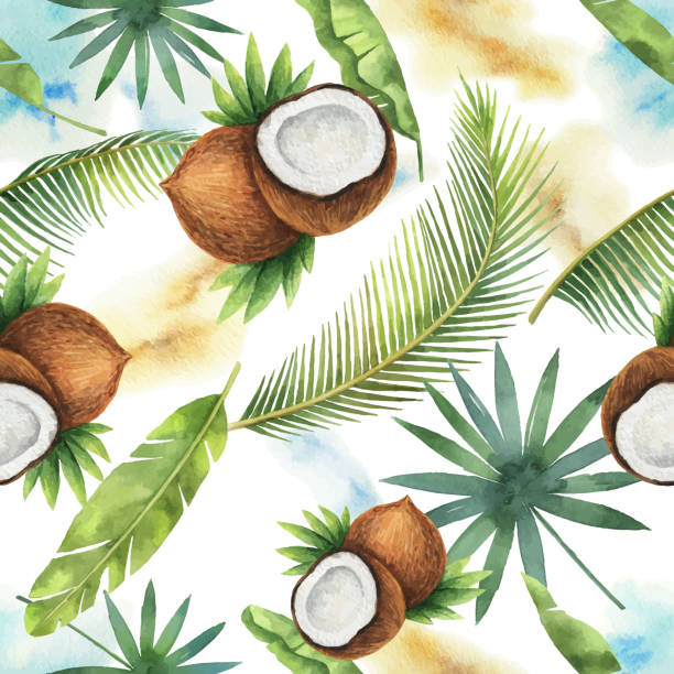 ilustrações, clipart, desenhos animados e ícones de padrão sem emenda de vetor em aquarela de coco e palmeiras isolado no fundo branco. - coconut