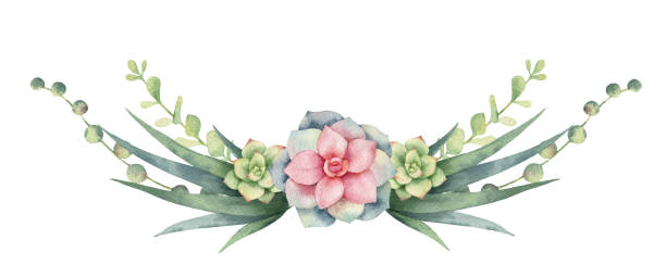 Watercolor vector wreath of cacti and succulent plants isolated on white background. Watercolor vector wreath of cacti and succulent plants isolated on white background. Flower illustration for your projects, greeting cards and invitations. desert area clipart stock illustrations