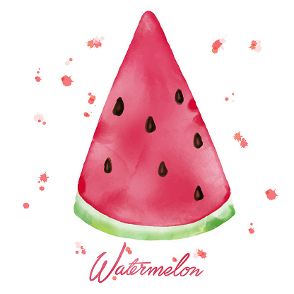 Watercolor Watermelon Slice. Watercolor Hand Drawn Slice of Watermelon with Watercolor Drops. Summer Background Concept.