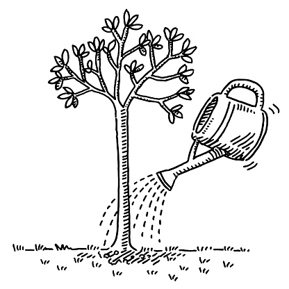 Watering A Small Tree Drawing
