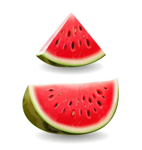 Watermelon realistic icon illustration, vector Watermelon realistic slice icon illustration, vector isolated watermelon stock illustrations