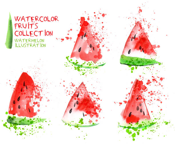 Watermelon slice set. Watercolor hand draw collection, slice and splashes Watermelon slice set. Watercolor hand draw collection, slice and splashes isolated on white background watermelon juice stock illustrations
