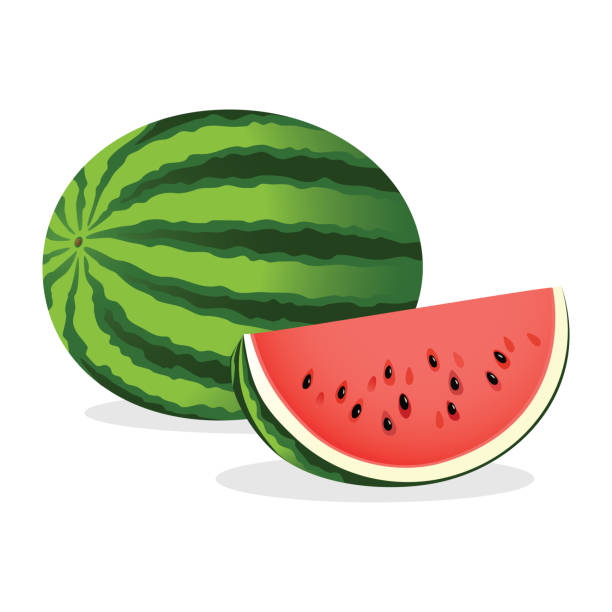 Download Royalty Free Watermelon Seed Clip Art, Vector Images ...