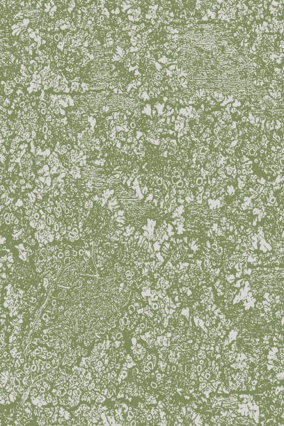 Weathered wood background with lichen moss and texture Weathered wood background with lichen moss and texture moss stock illustrations