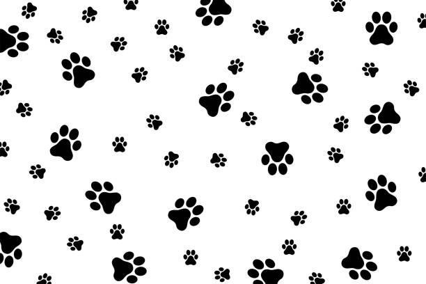 Web Traces of a cat or dog on a white background dog patterns stock illustrations