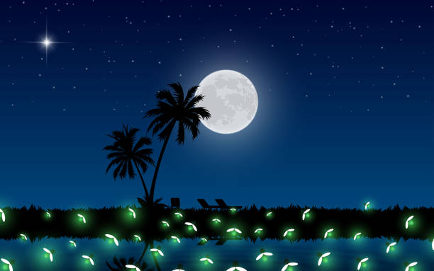 75 Summer Night With Full Moon And Mountains Illustrations & Clip Art - iStock