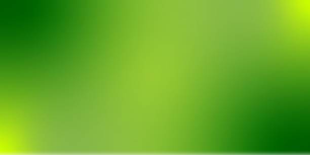 Web Green gradient Soft blurred background. green background illustrations stock illustrations