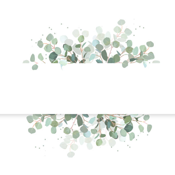 Wedding eucalyptus horizontal vector design banner. Wedding eucalyptus horizontal vector design banner. Rustic greenery. Mint, blue tones. Watercolor style collection. Mediterranean tree. All elements are isolated and editable wedding designs stock illustrations