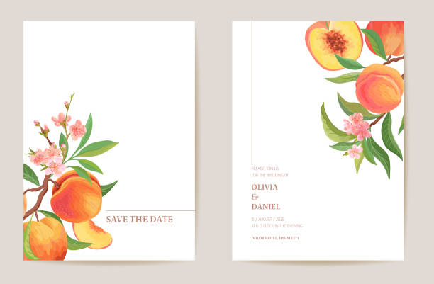 Wedding invitation peach fruits, flowers, leaves card. Watercolor minimal template vector. Botanical Save the Date foliage modern poster, trendy design, luxury background Wedding invitation peach fruits, flowers, leaves card. Watercolor minimal template vector. Botanical Save the Date foliage modern poster, trendy design, luxury background peach tree stock illustrations