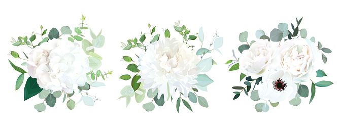 Wedding white flowers vector design bouquets